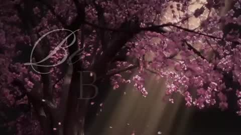 EdenArcadia online show from June 25, 5:12 am