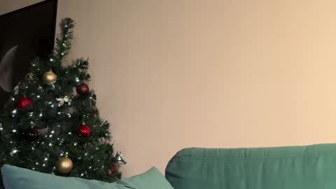 Snapshot of elisonnina chatting on December 15, 7:31 pm Nina online show from December 15, 7:31 pm