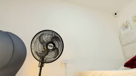 Eliza online show from March 25, 12:19 pm