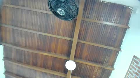 Emily  online show from March 25, 11:02 am