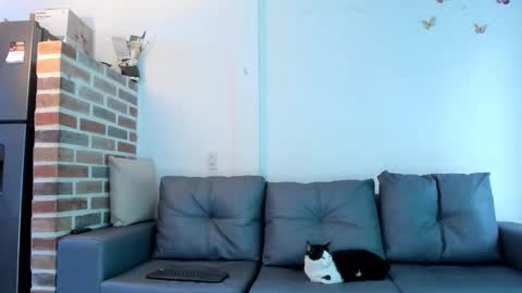 Emma Brant online show from February 18, 12:37 pm