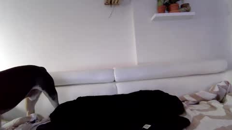 Badblondebunny online show from January 9, 1:29 am