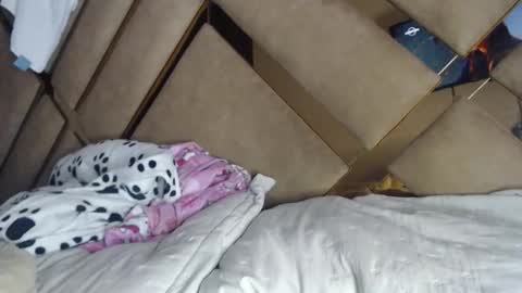 eyshaexotii online show from November 29, 7:40 pm