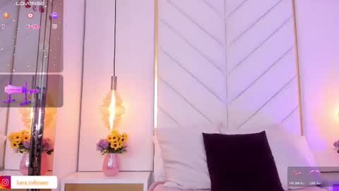 Luna online show from November 13, 1:54 pm