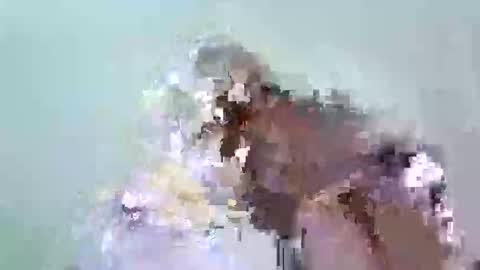 flying_sakura online show from June 5, 2:23 pm
