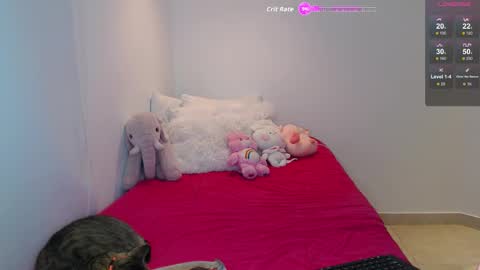 .  online show from February 26, 4:11 am