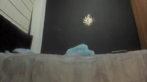 Miss online show from March 7, 6:54 pm