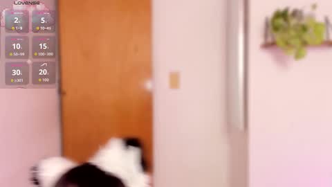 Julie online show from February 20, 4:00 am