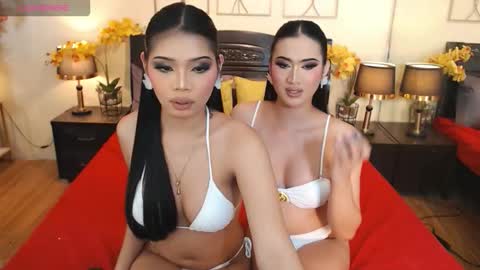 YOUR SIDECHIC HAILEY online show from October 8, 11:03 am