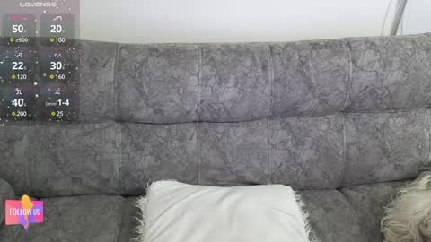 Harper online show from January 31, 12:06 am