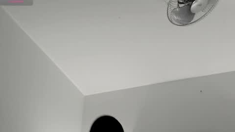 hilary_tailor online show from January 13, 11:14 am