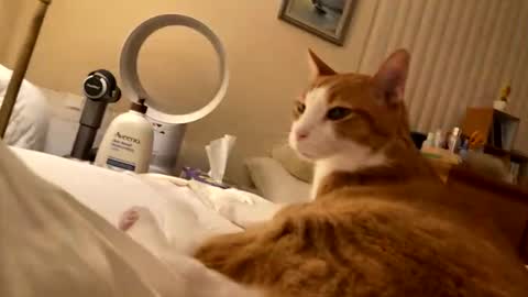 hope314 online show from April 30, 4:07 am