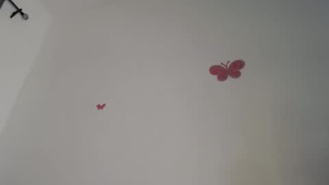 Iris online show from November 18, 3:40 am