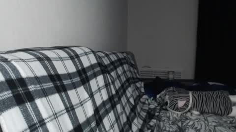 iiiiiiis online show from November 20, 4:41 pm