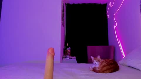 Eli  online show from January 29, 12:12 am