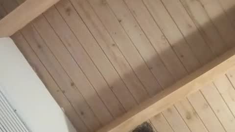 Isabella online show from March 20, 9:36 am