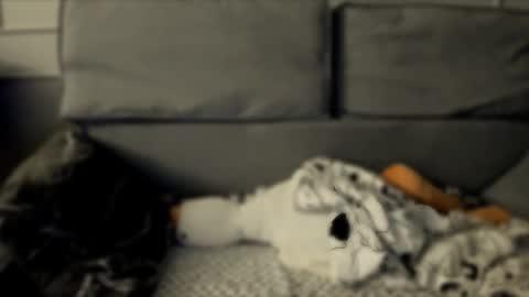 Isabella online show from September 18, 10:08 pm