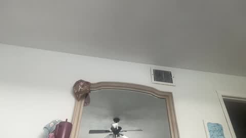 Jasmine Tate online show from March 26, 2:52 pm