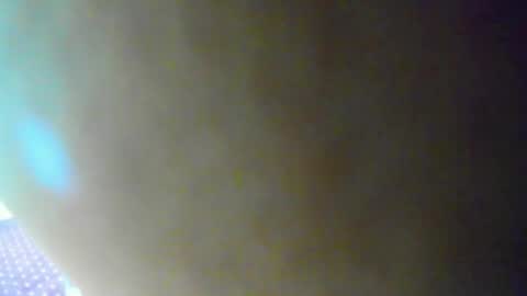 Snapshot of jelly_bee chatting on October 19, 8:33 pm Jelly online show from October 19, 8:33 pm