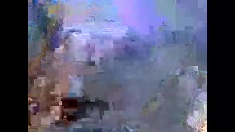 jenifer_91 online show from March 12, 3:46 am