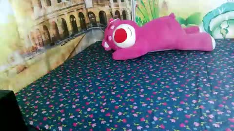 jonoa8386 online show from January 16, 11:06 am