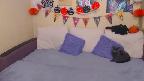 Jul online show from October 26, 2:56 pm