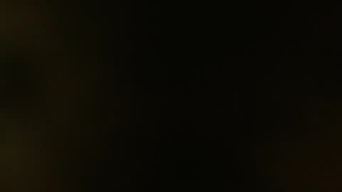 Kamelia  6 am-10 am  4 pm-6 pm online show from February 10, 11:15 am