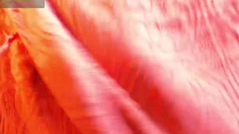 DAHIANA online show from January 20, 1:11 pm