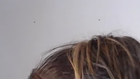 Help me with rate thanks  online show from January 26, 1:41 am