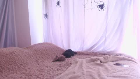 kendall online show from October 21, 3:27 pm