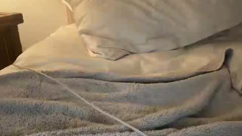 kinkybrooke420 online show from July 4, 7:32 pm