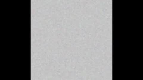  paola and a guest lol    online show from November 2, 2:09 pm