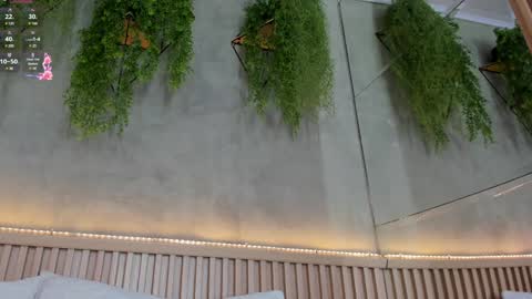 lana_lann online show from January 12, 11:50 am