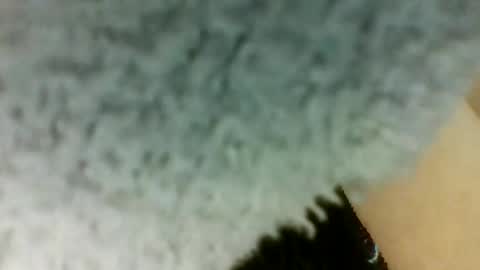 layannalea online show from April 14, 9:04 pm