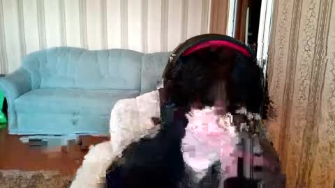 Viola online show from March 23, 9:37 am