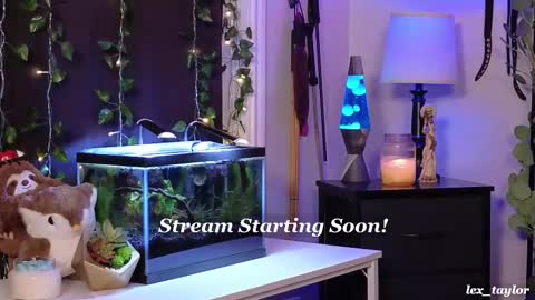 Lex online show from February 17, 4:06 pm