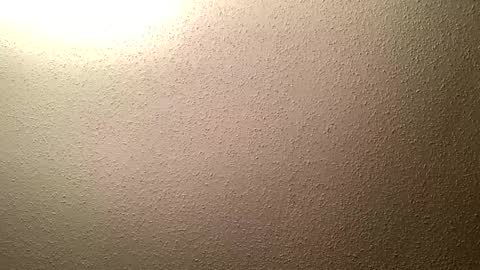 Lilbootyjt online show from October 20, 8:45 pm