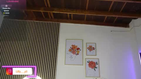 Sofia online show from November 21, 1:24 pm