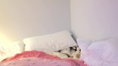 lilylustxoxo online show from December 3, 6:49 am