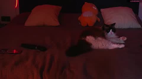 limy_sweet online show from February 12, 9:22 am