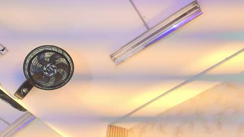 Liss online show from March 9, 2:53 pm