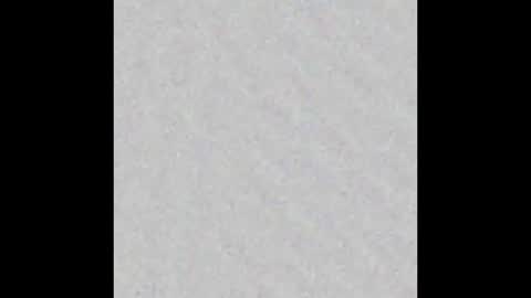 Liz  online show from February 21, 10:17 am