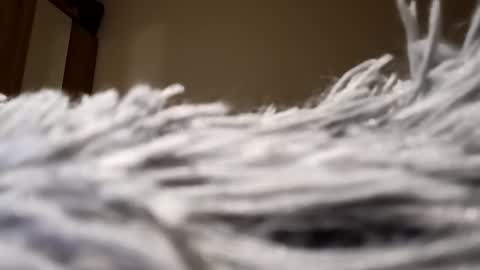 Lora online show from January 15, 8:05 pm