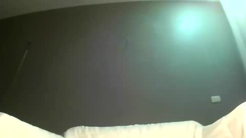 Bee Bee online show from March 25, 3:12 am