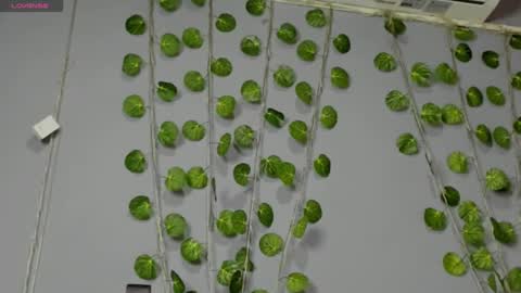 marly online show from February 28, 2:42 am