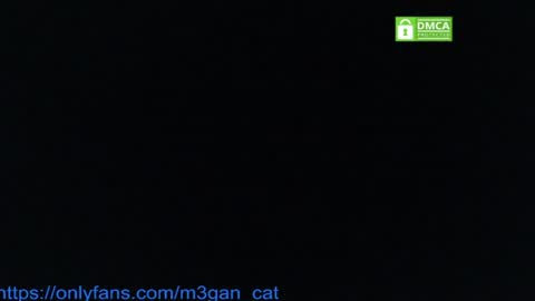 megan_cat online show from July 4, 5:20 pm