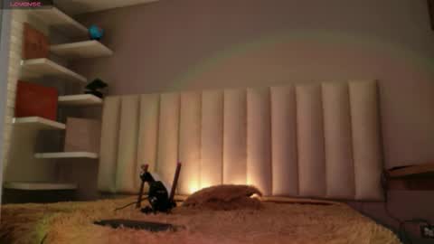     online show from December 15, 12:21 pm