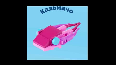 meowcr online show from March 5, 4:25 pm