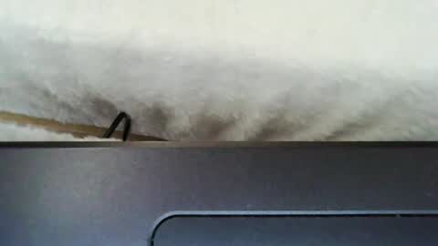 Mia online show from March 28, 12:04 pm