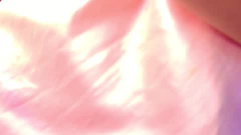 miia scoott  online show from December 16, 12:00 pm